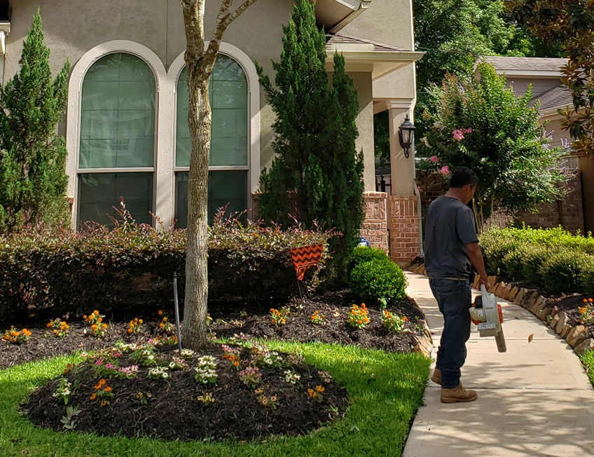 Flower Bed Care