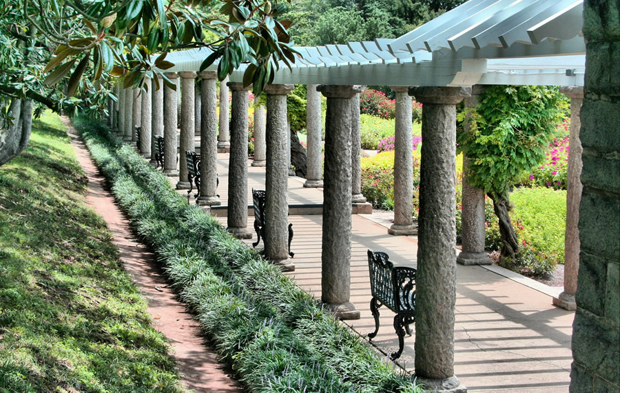Commercial Landscaping