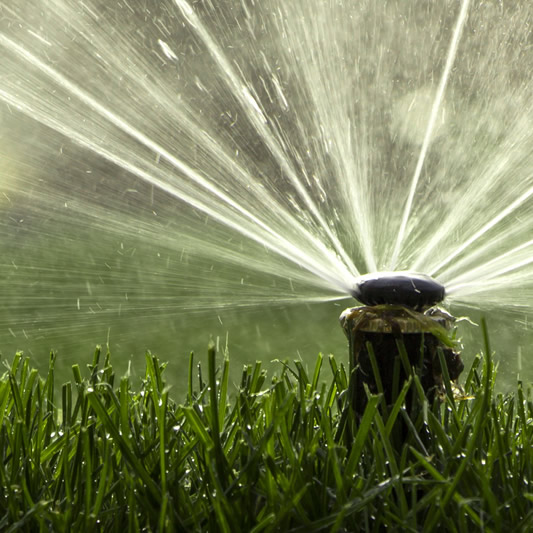 Sprinkler Repair and Installation