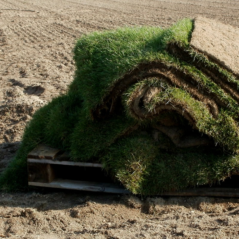 Sod Installation